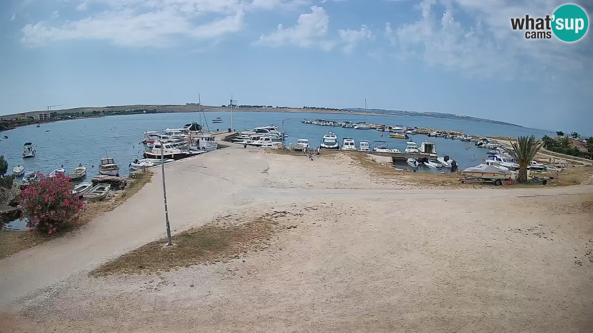 Camera en vivo Povljana – Pag isla