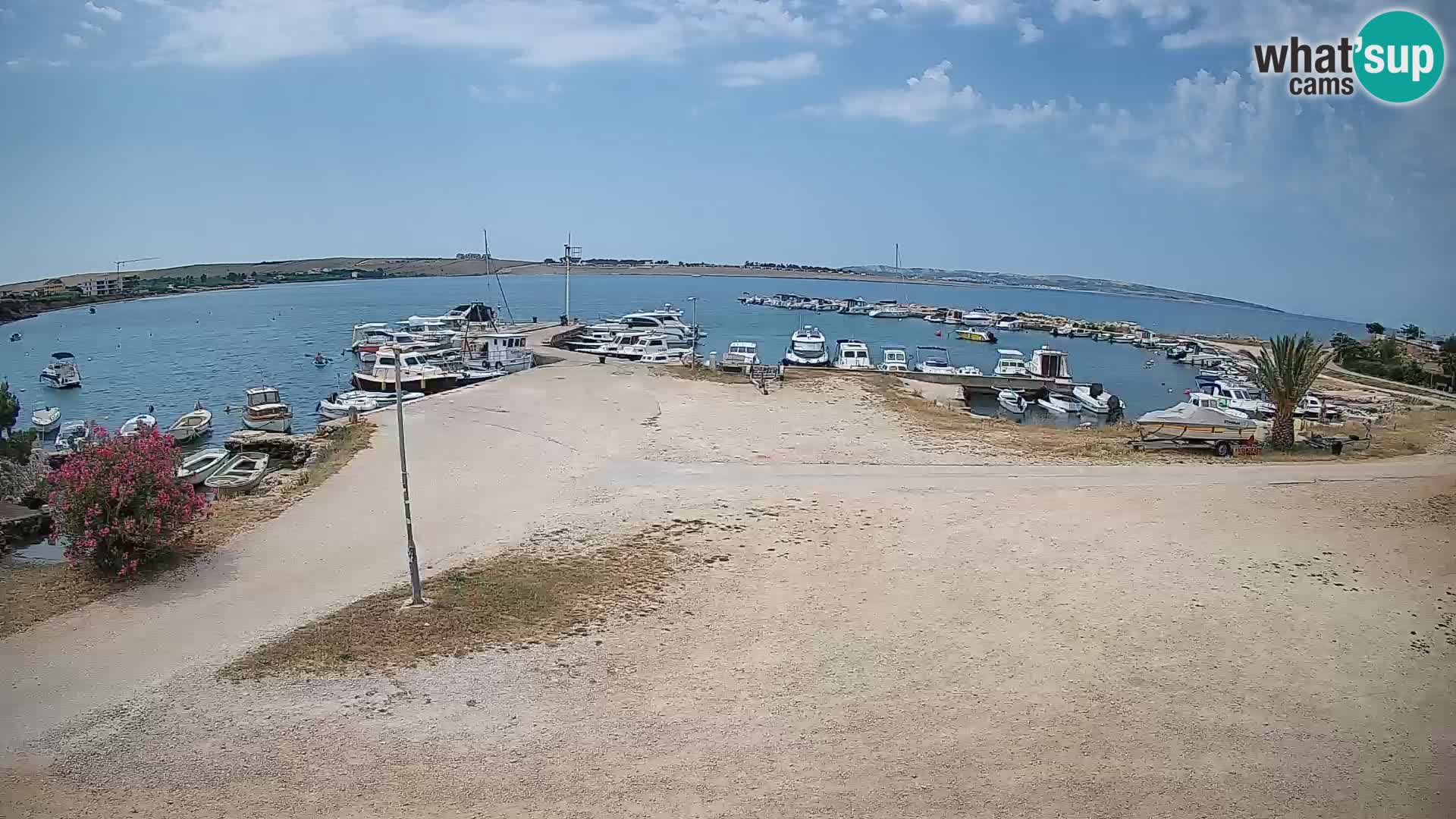 Livecam Pogliana – isola di Pago