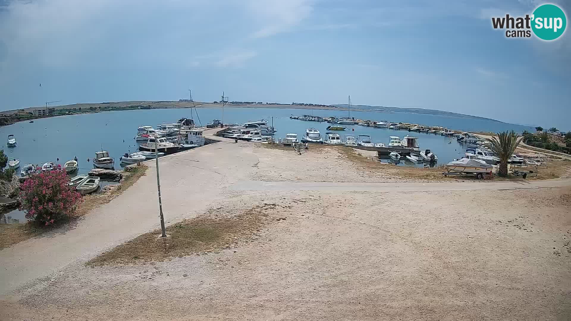 Camera en vivo Povljana – Pag isla