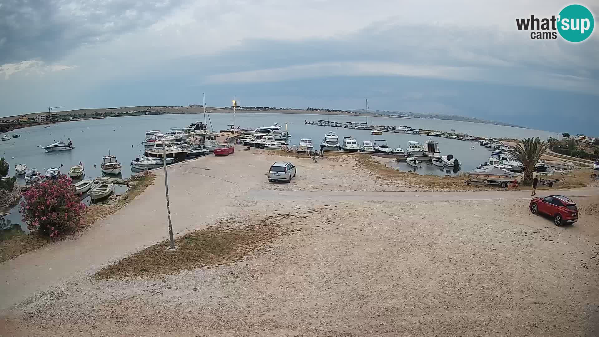 Camera en vivo Povljana – Pag isla