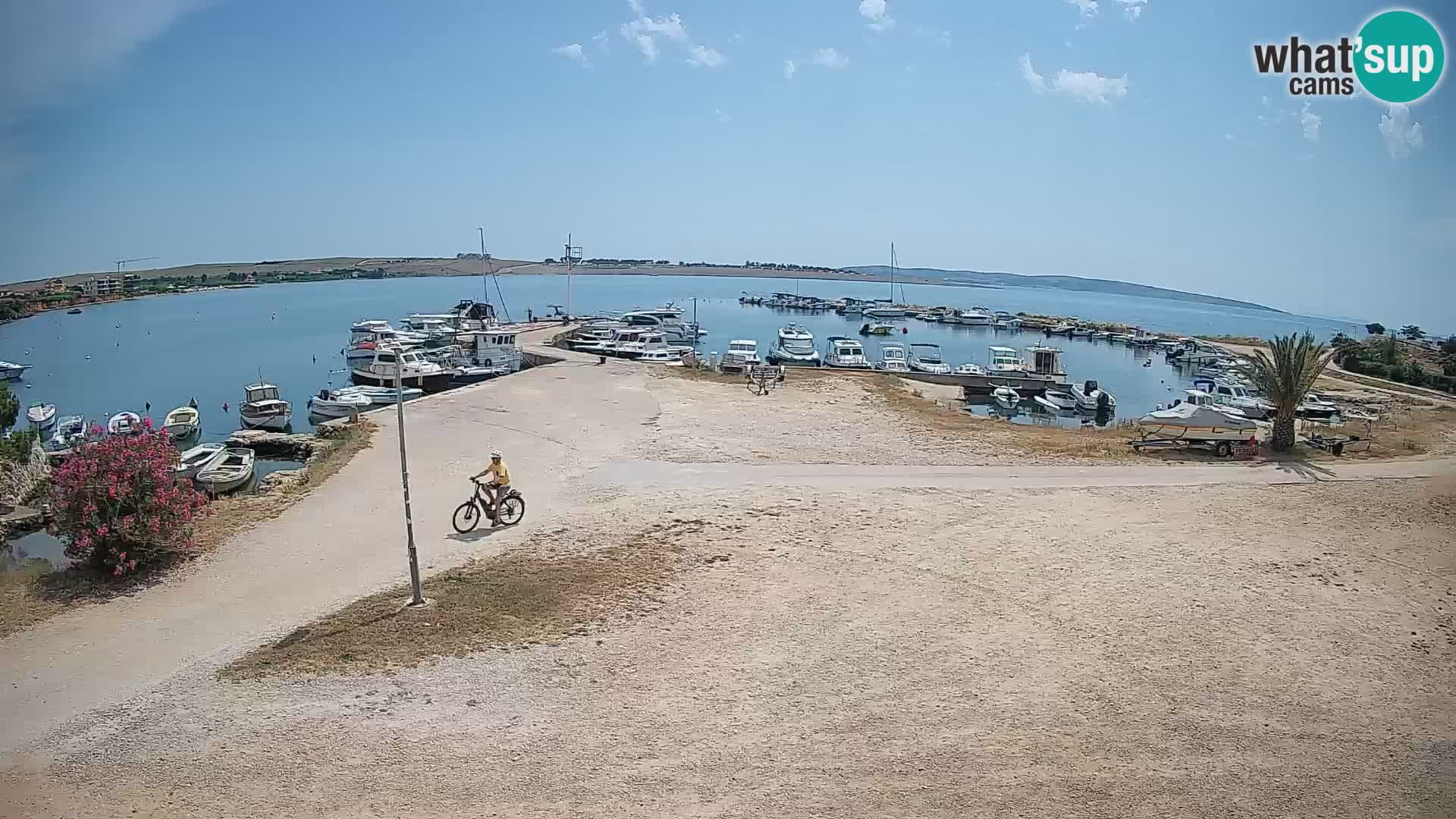 Camera en vivo Povljana – Pag isla
