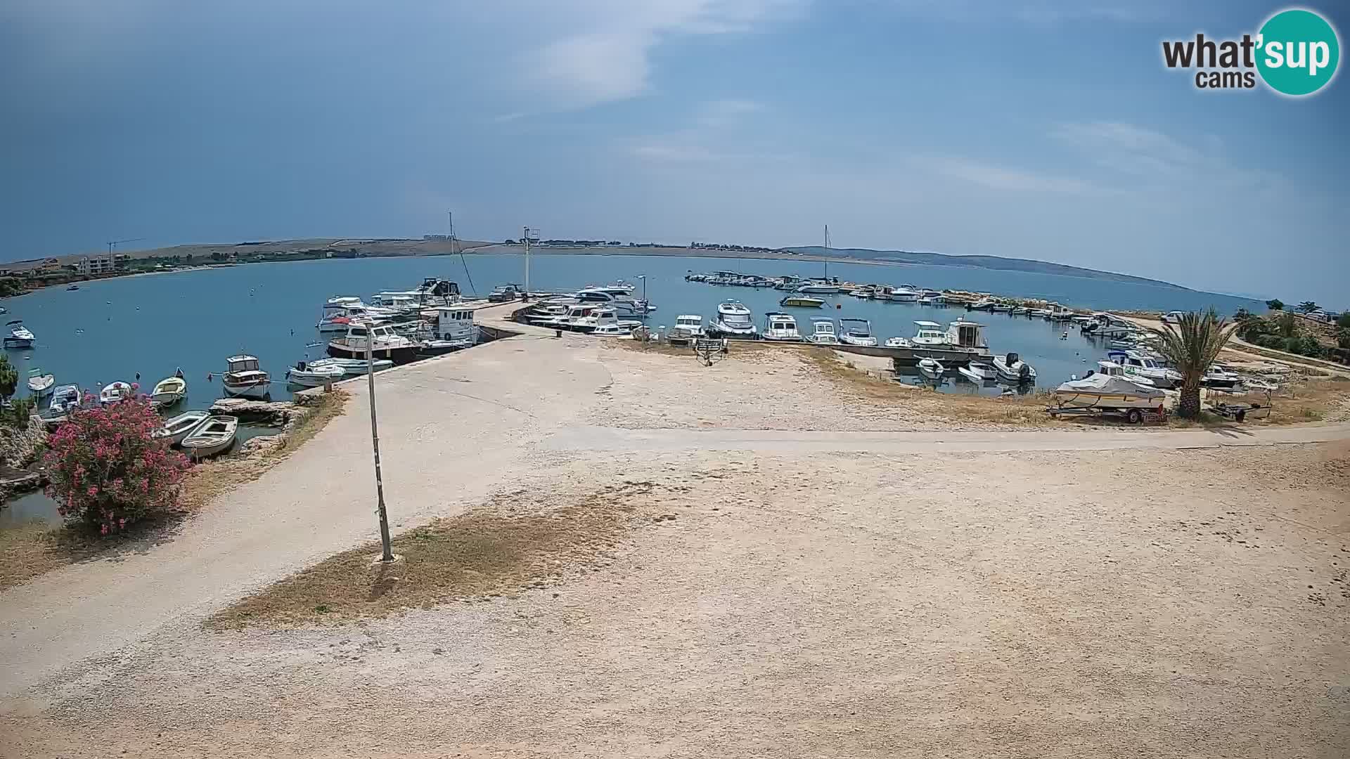 Kamera v živo Povljana – otok Pag