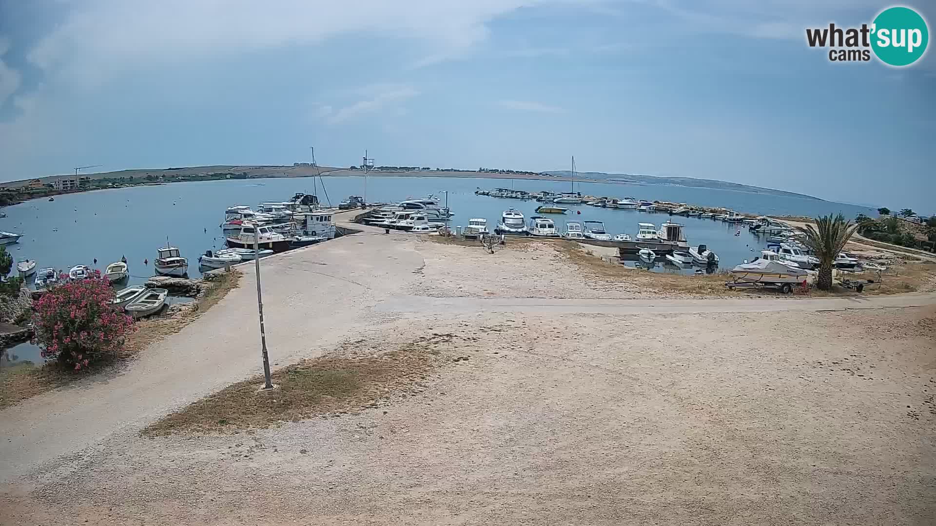 Webcam Povljana – Pag insel