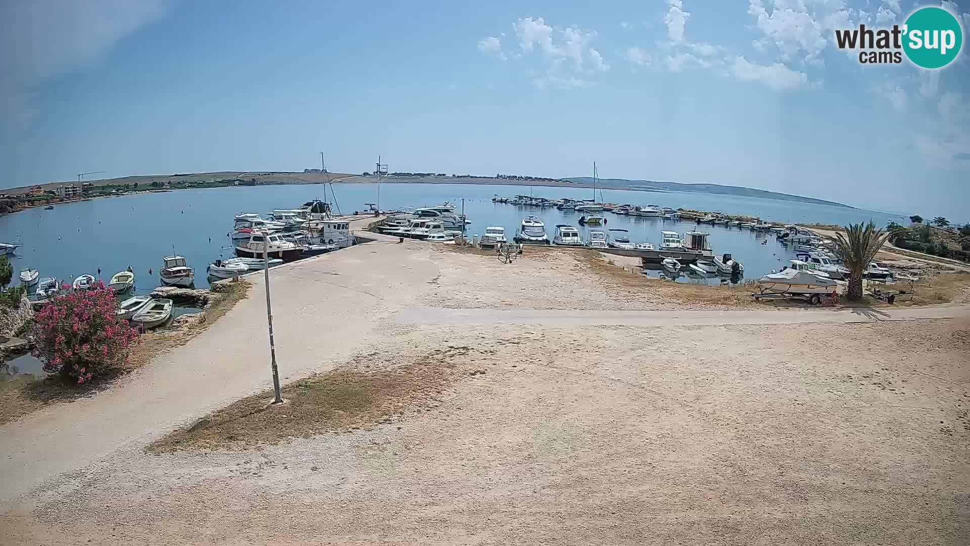 Livecam Pogliana – isola di Pago