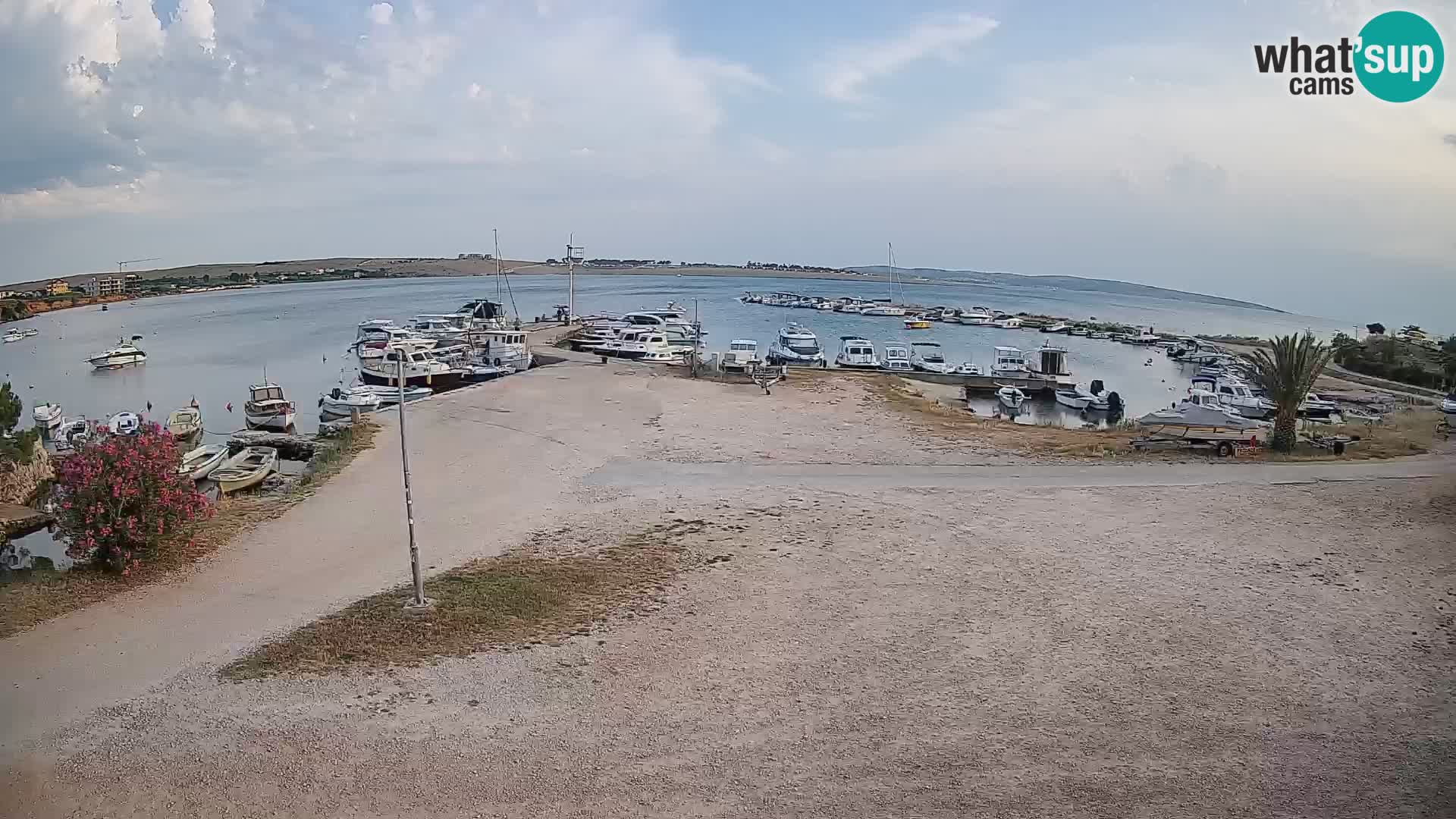 Camera en vivo Povljana – Pag isla