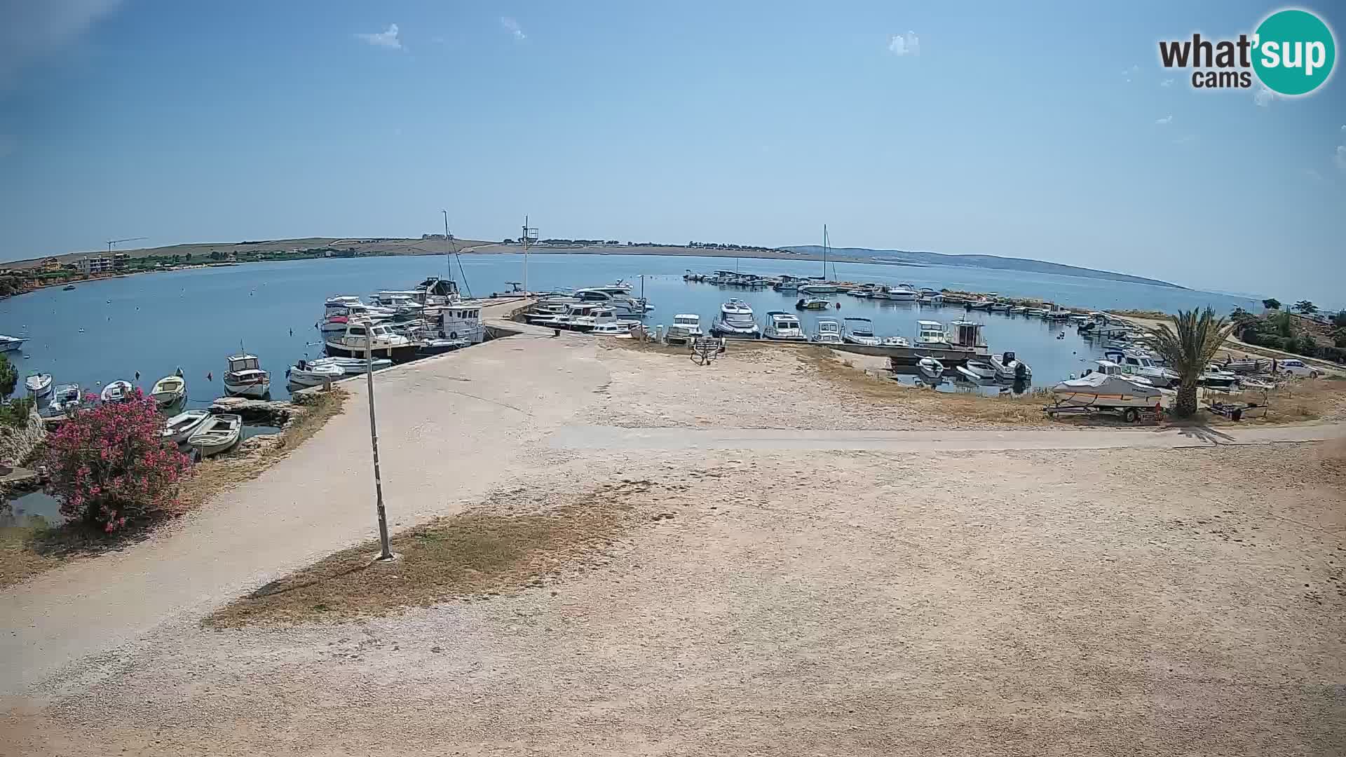Camera en vivo Povljana – Pag isla