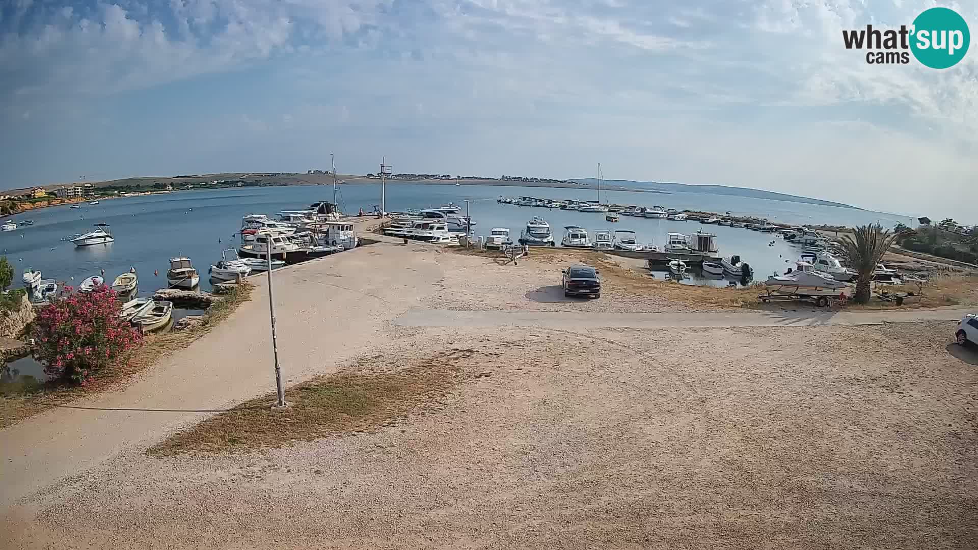 Camera en vivo Povljana – Pag isla
