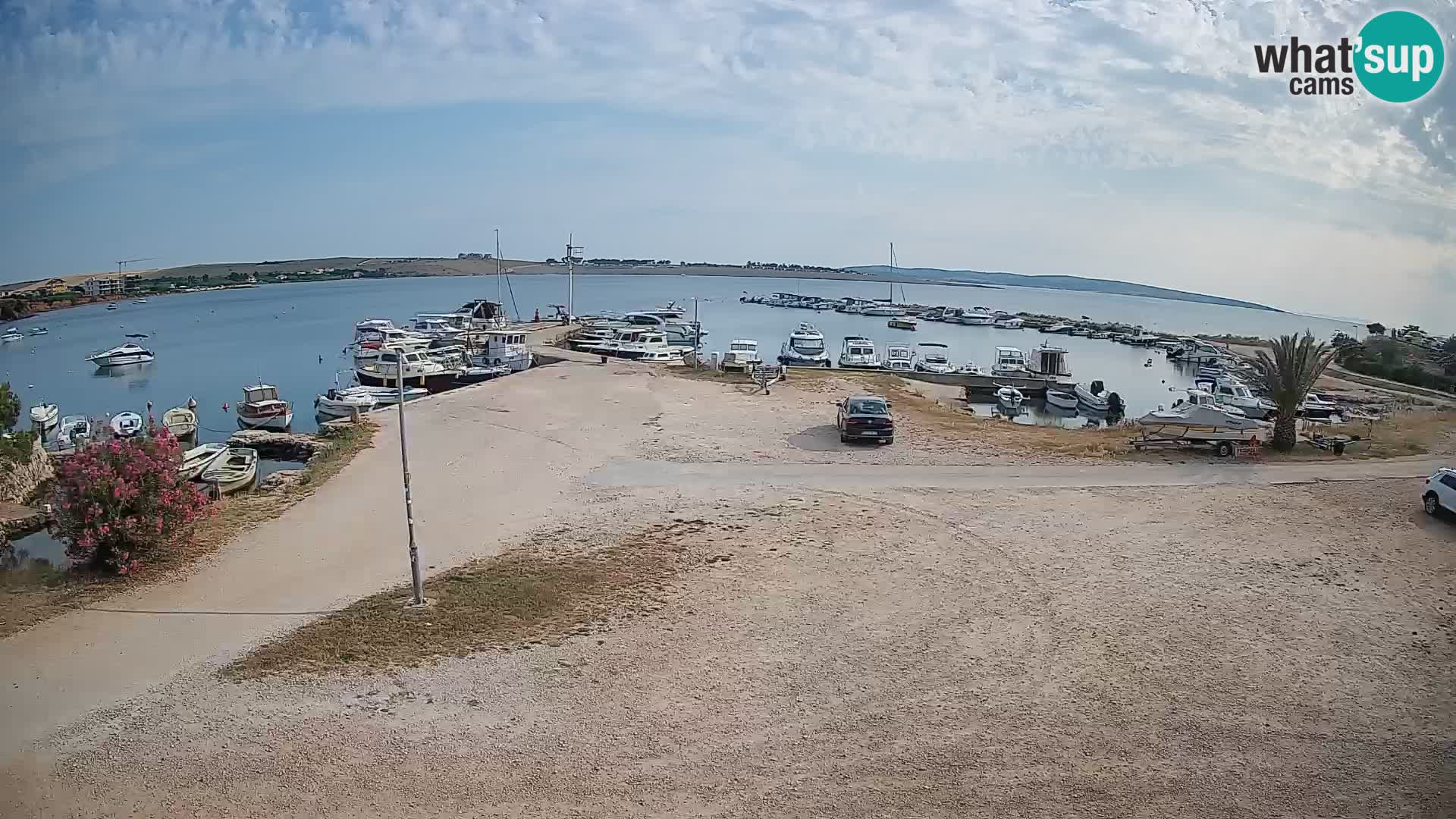 Camera en vivo Povljana – Pag isla