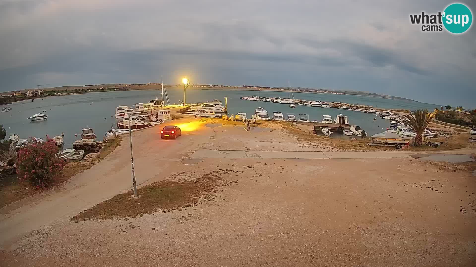 Camera en vivo Povljana – Pag isla