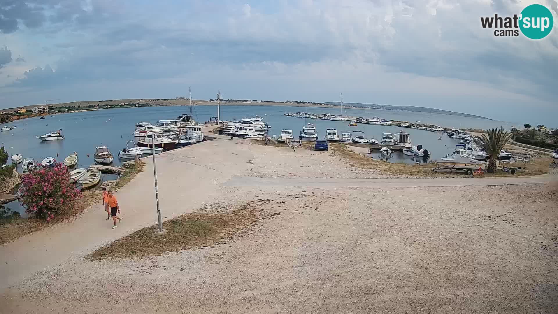 Camera en vivo Povljana – Pag isla