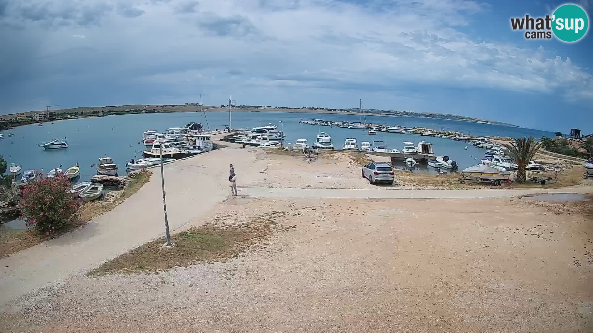 Camera en vivo Povljana – Pag isla