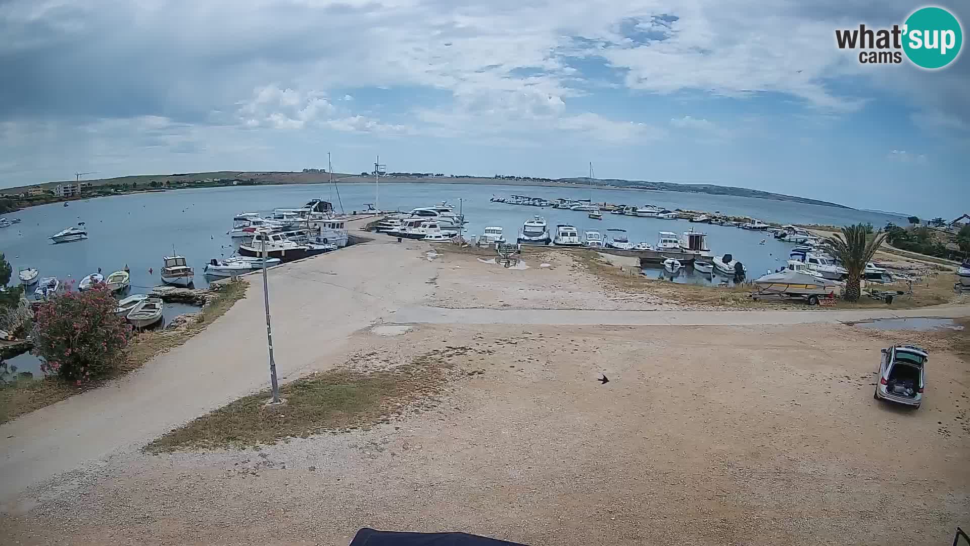Livecam Pogliana – isola di Pago