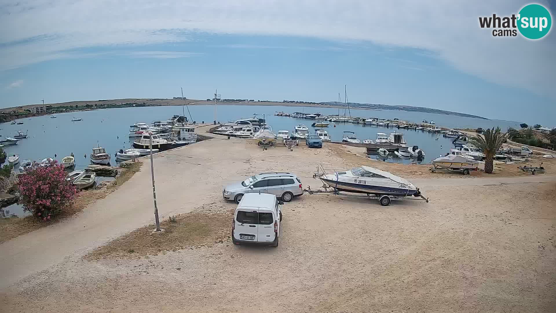 Camera en vivo Povljana – Pag isla