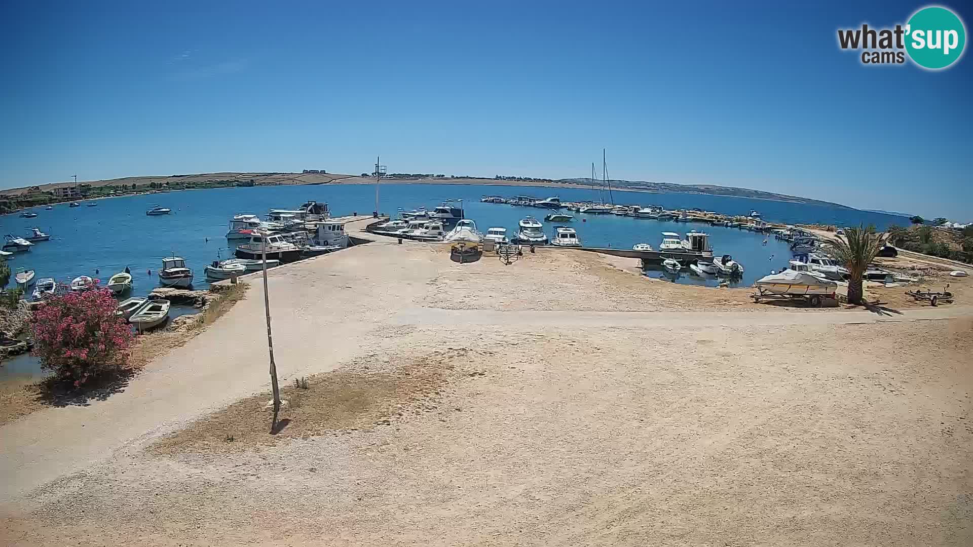 Camera en vivo Povljana – Pag isla