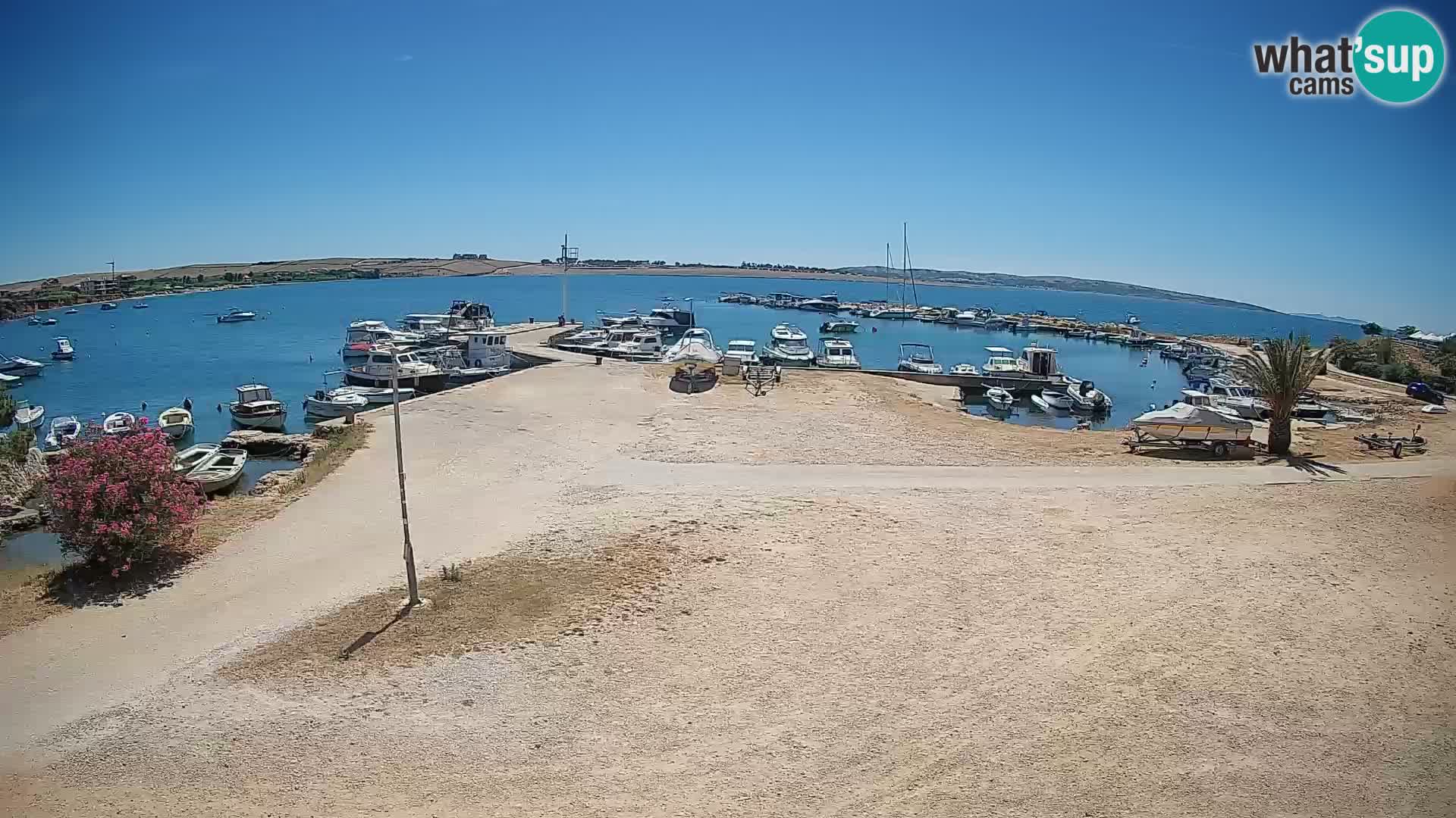 Camera en vivo Povljana – Pag isla