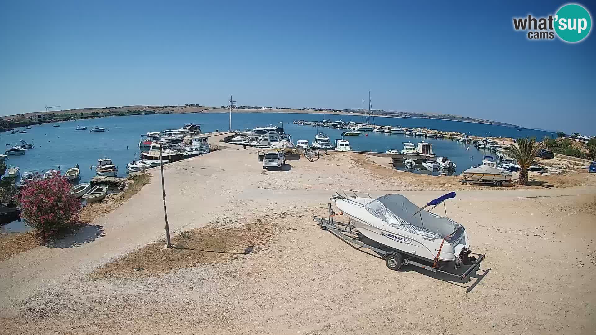 Camera en vivo Povljana – Pag isla