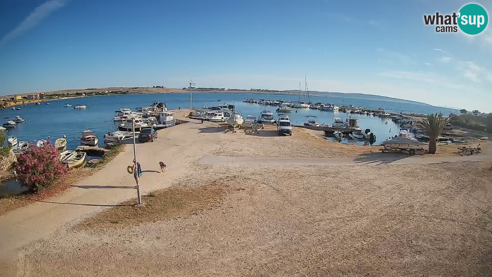 Livecam Pogliana – isola di Pago