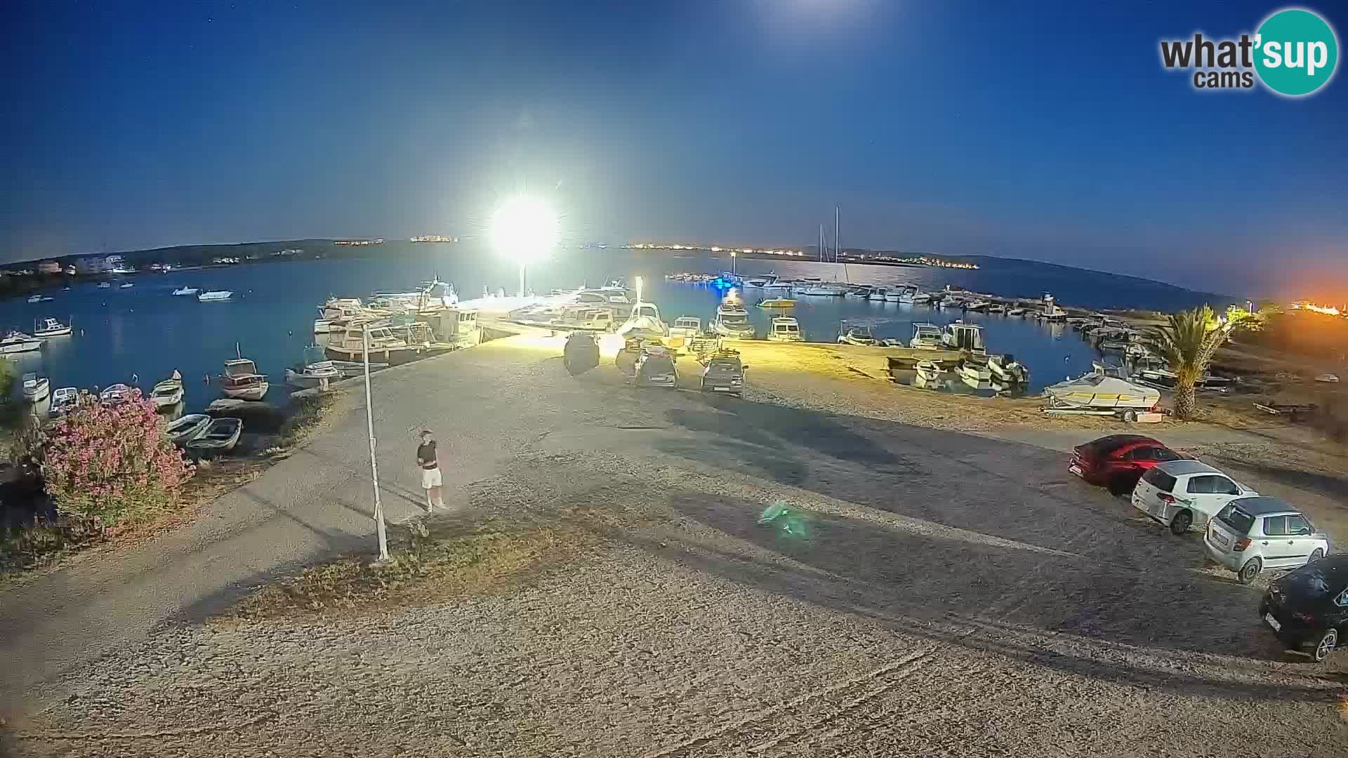 Camera en vivo Povljana – Pag isla