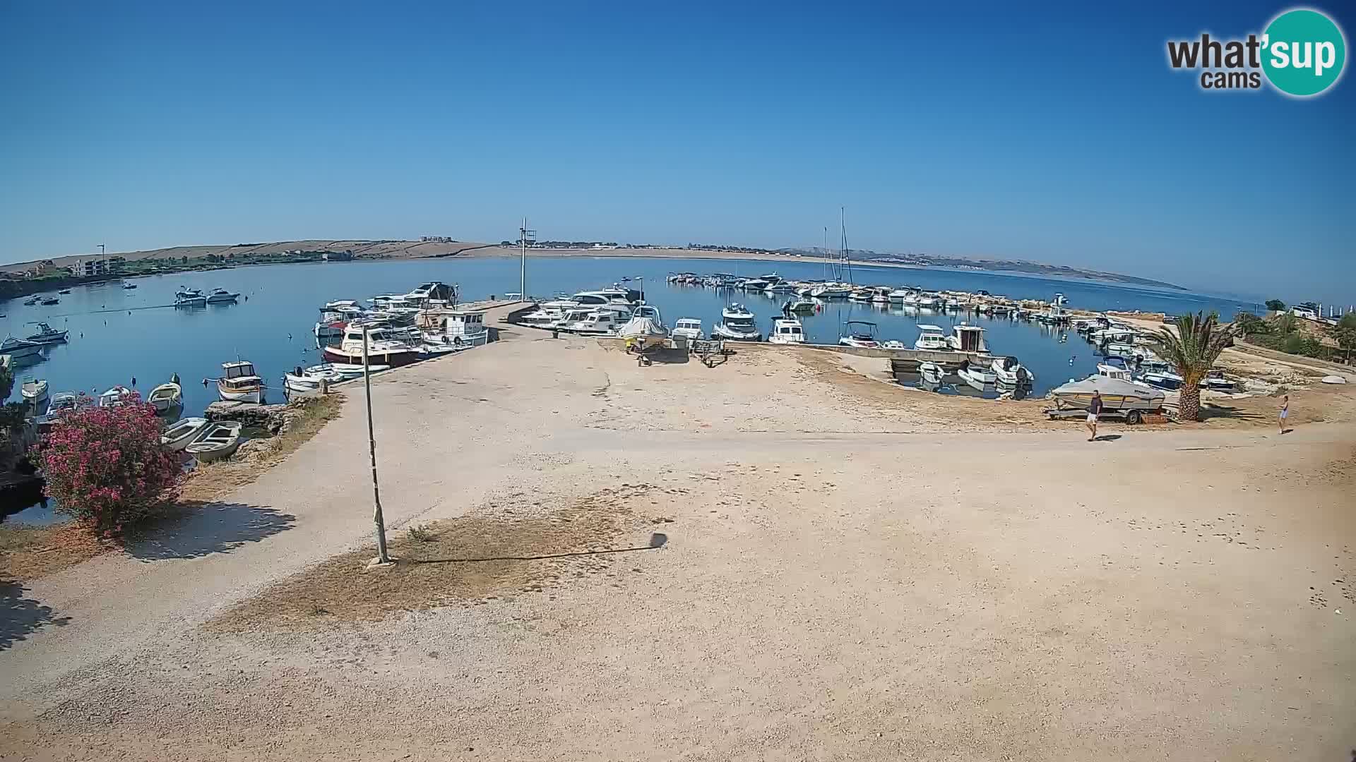 Kamera v živo Povljana – otok Pag