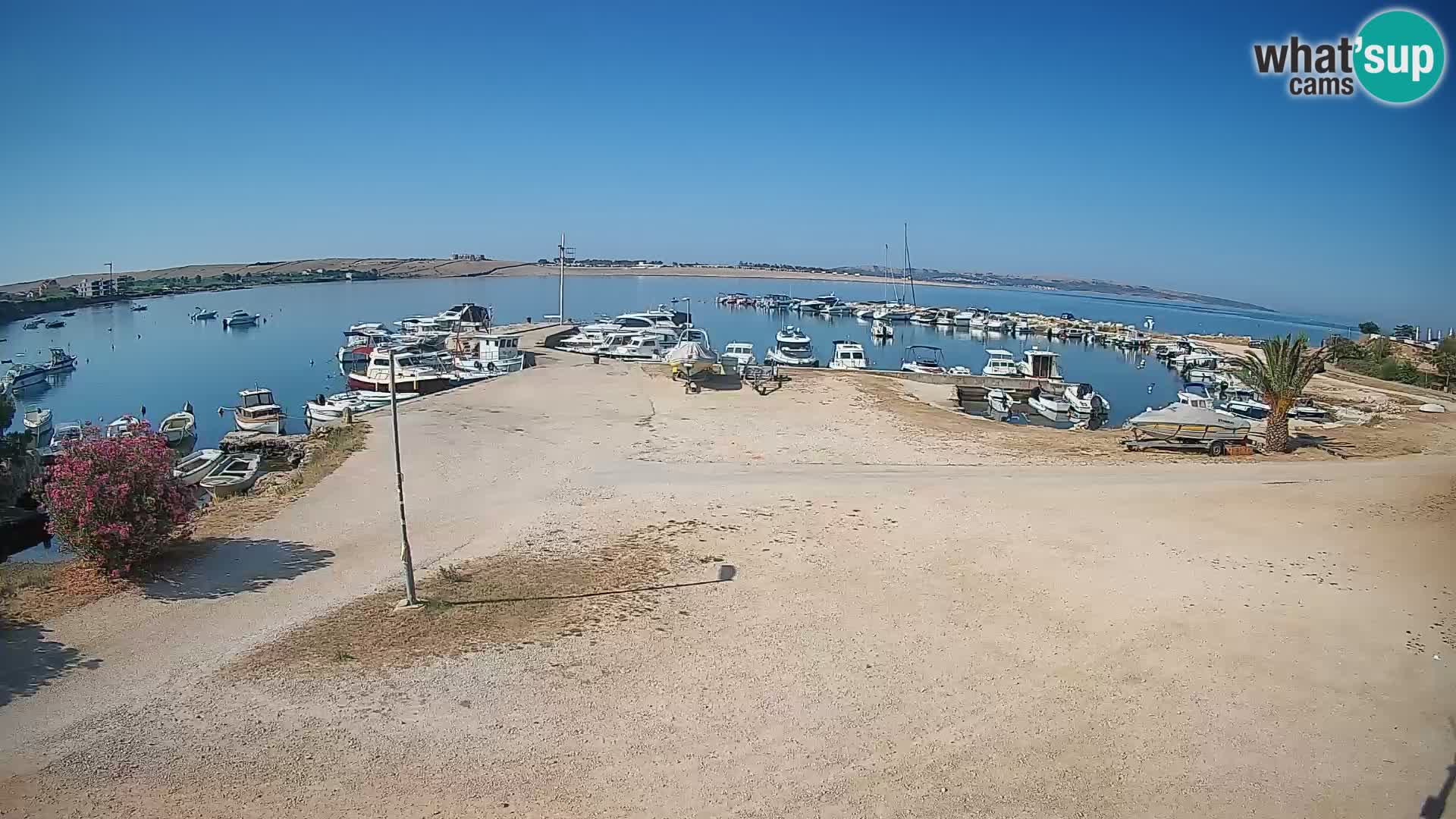 Camera en vivo Povljana – Pag isla