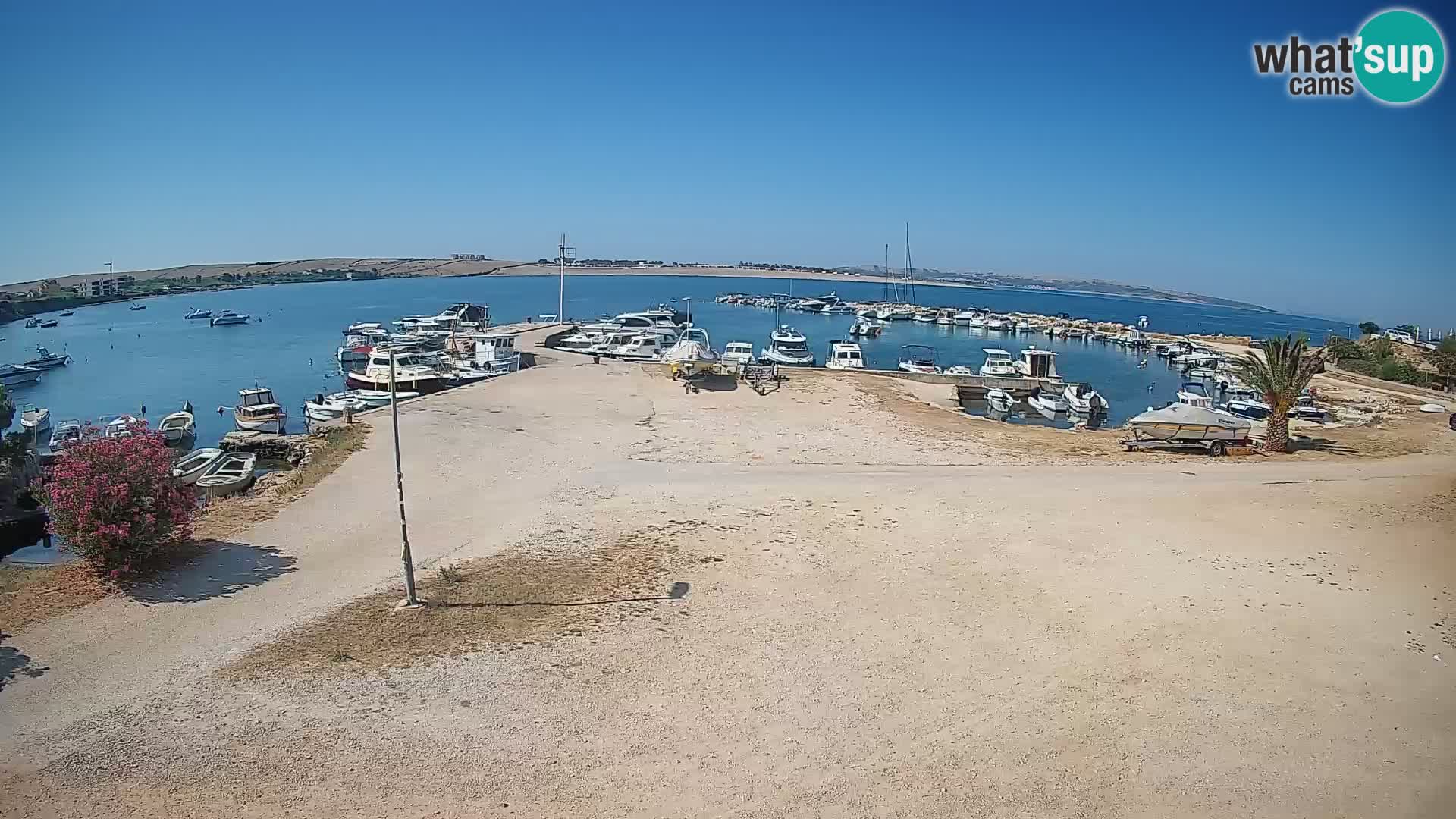 Livecam Pogliana – isola di Pago