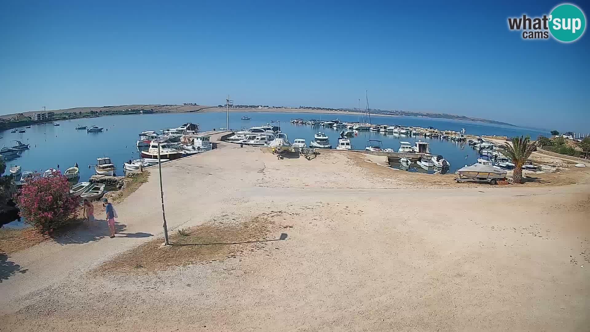 Camera en vivo Povljana – Pag isla