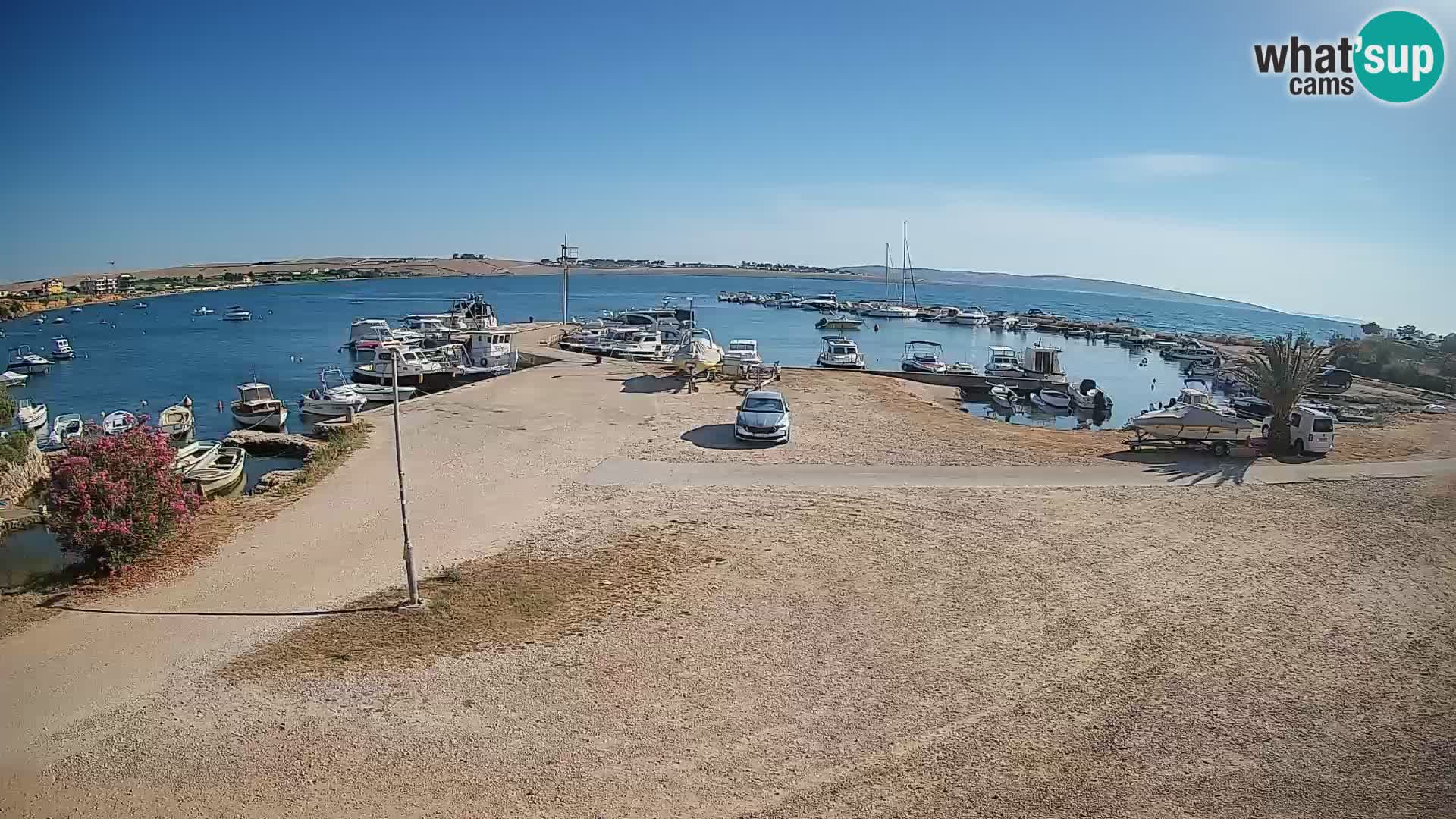 Camera en vivo Povljana – Pag isla