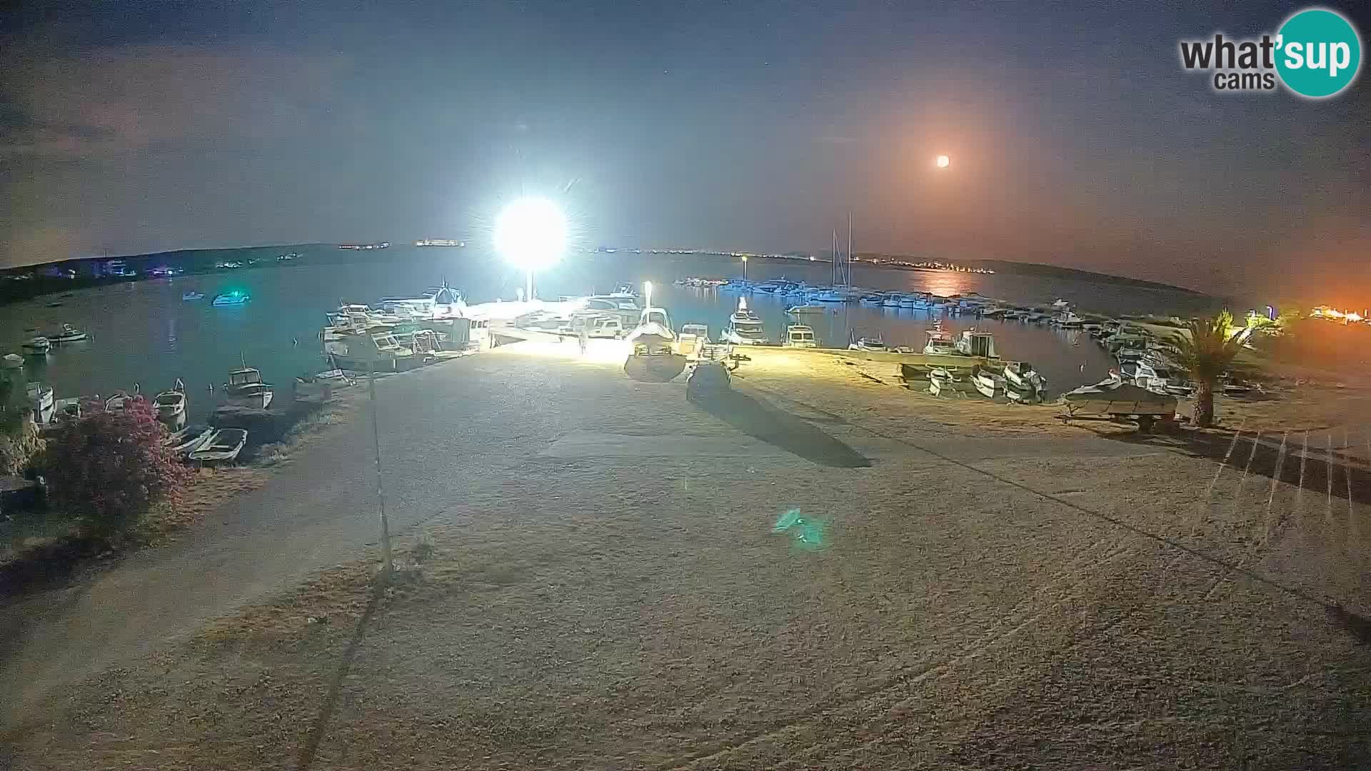 Camera en vivo Povljana – Pag isla