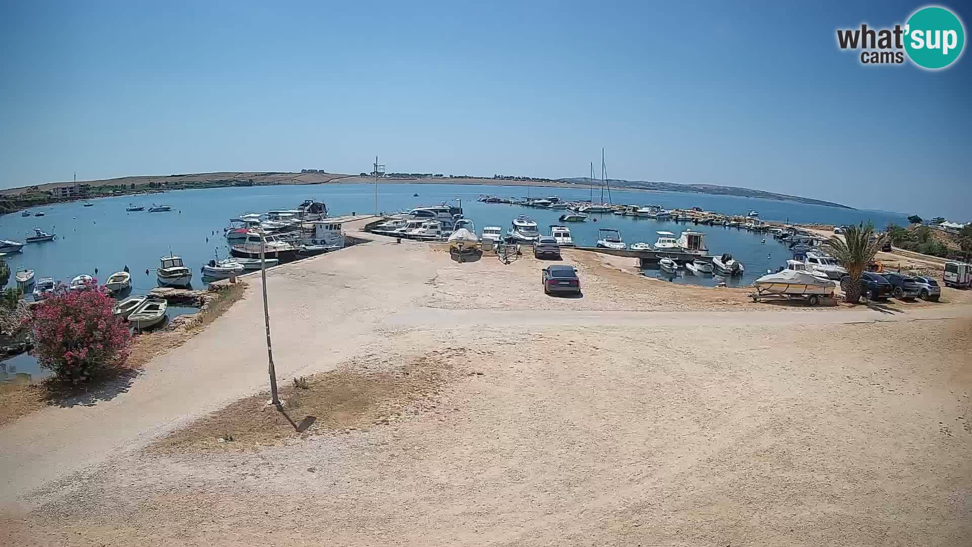 Webcam Povljana – Pag insel