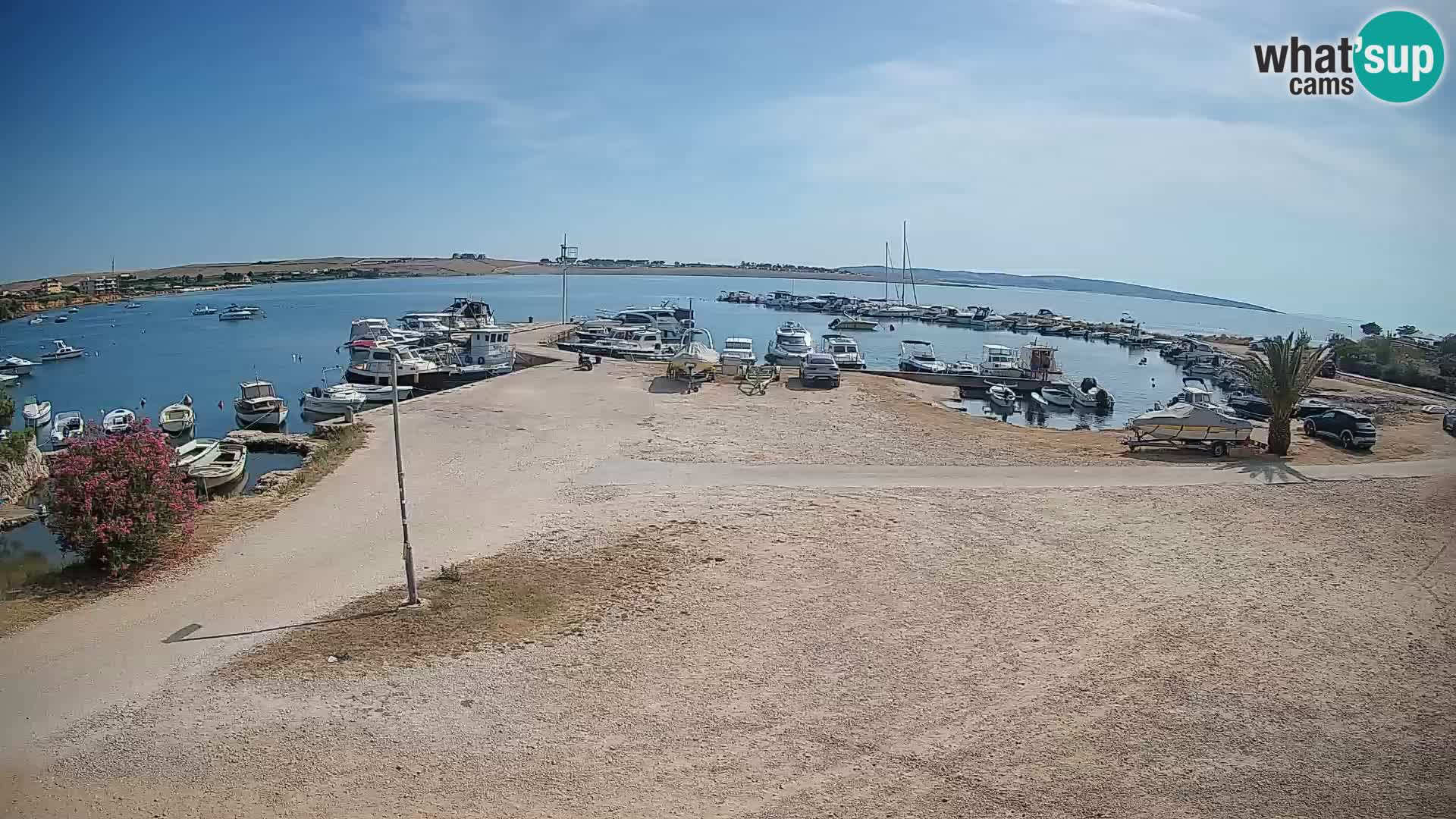 Camera en vivo Povljana – Pag isla