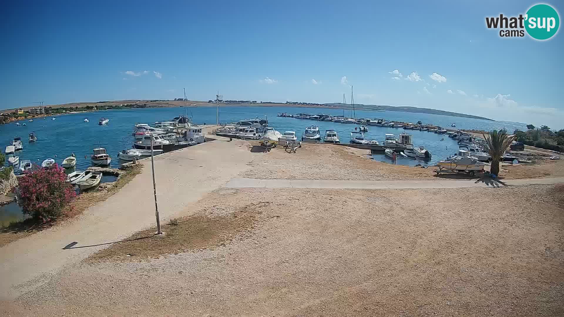 Livecam Pogliana – isola di Pago