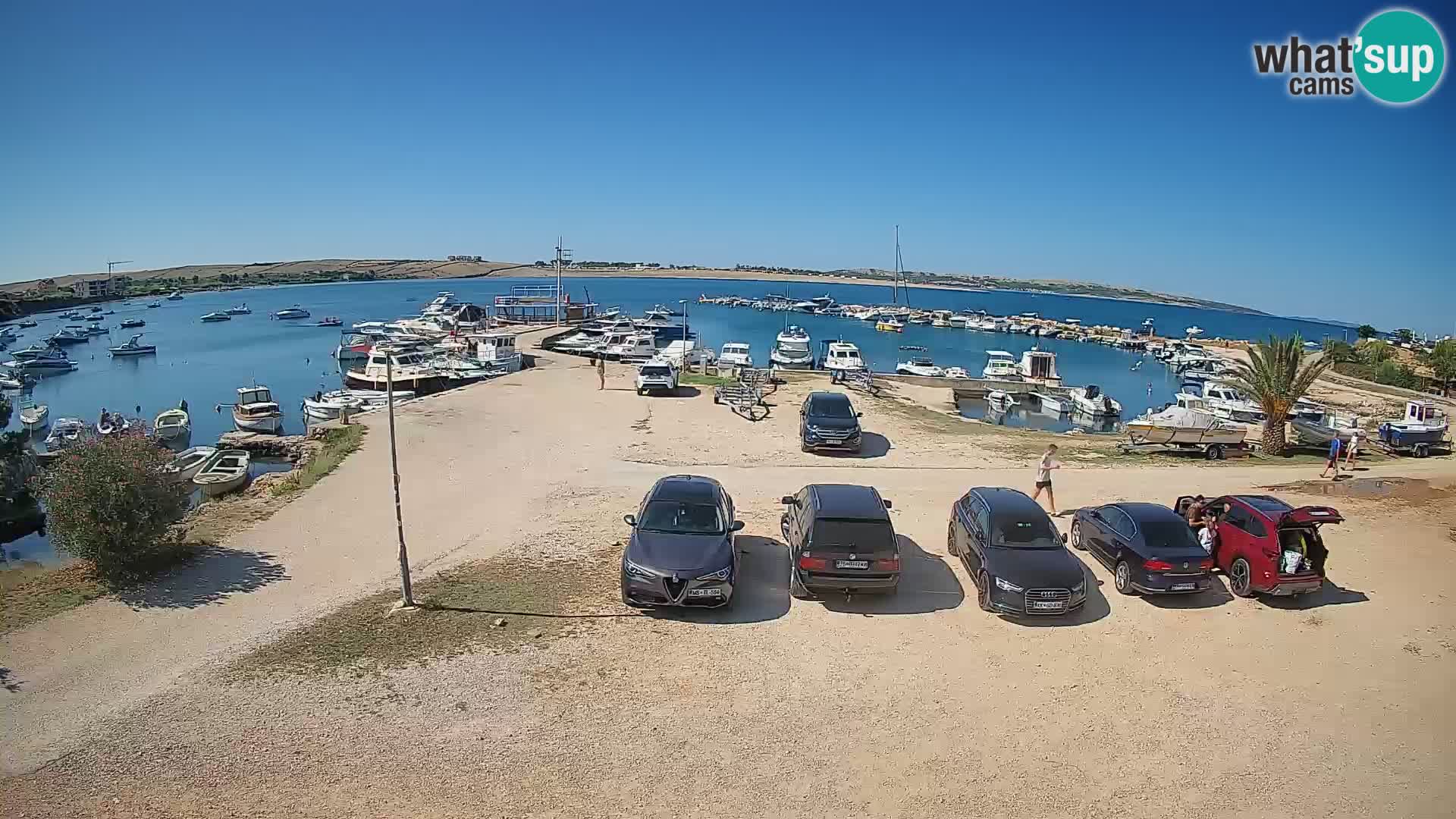 Camera en vivo Povljana – Pag isla