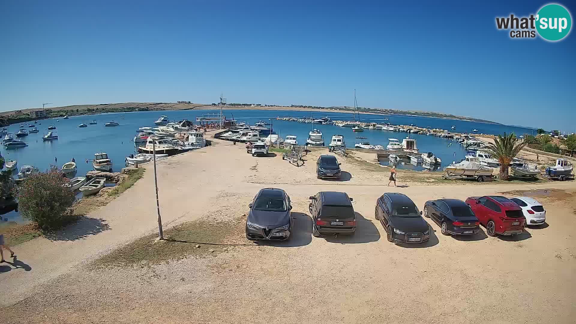 Camera en vivo Povljana – Pag isla
