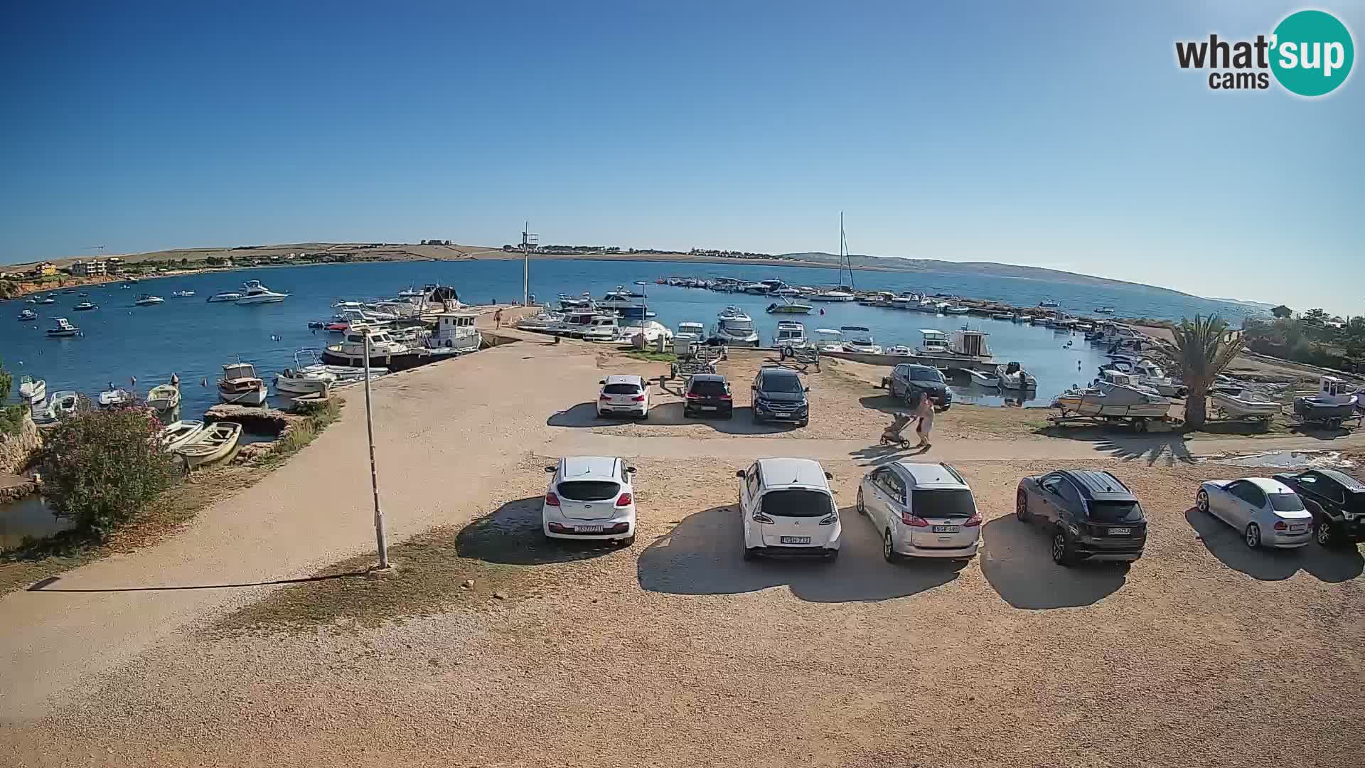 Camera en vivo Povljana – Pag isla