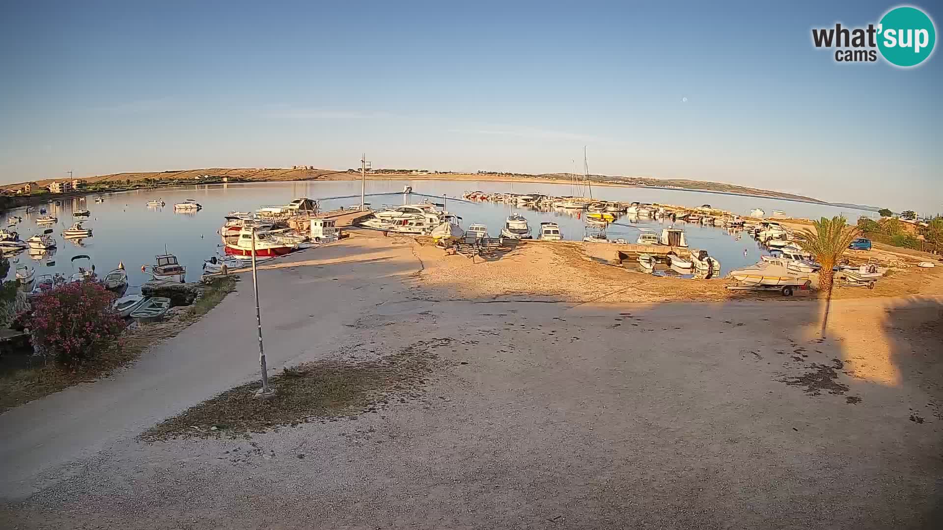 Camera en vivo Povljana – Pag isla