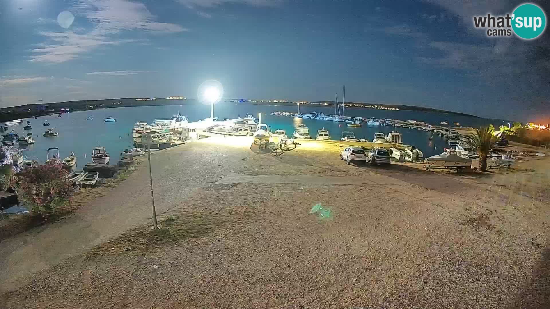 Camera en vivo Povljana – Pag isla