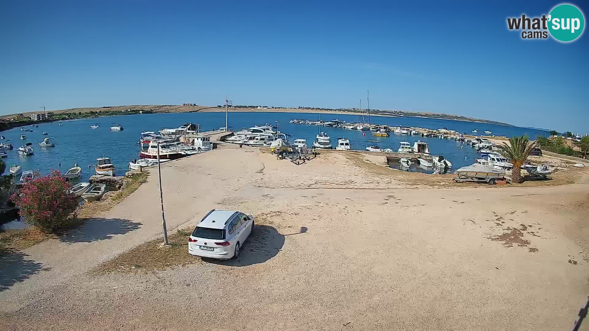 Camera en vivo Povljana – Pag isla