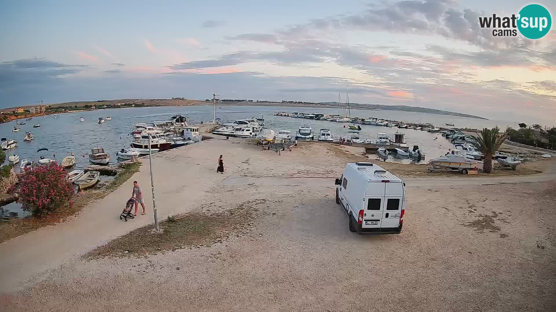 Camera en vivo Povljana – Pag isla