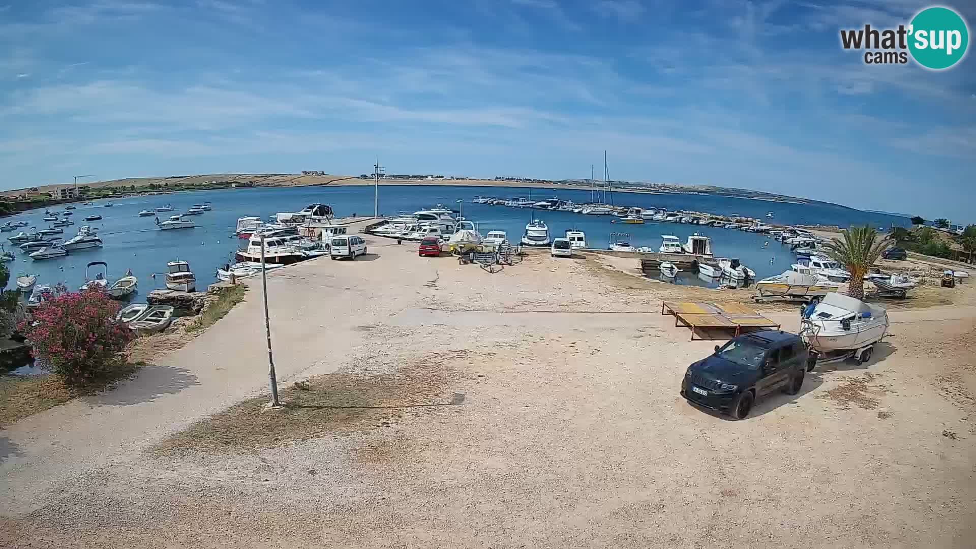 Camera en vivo Povljana – Pag isla