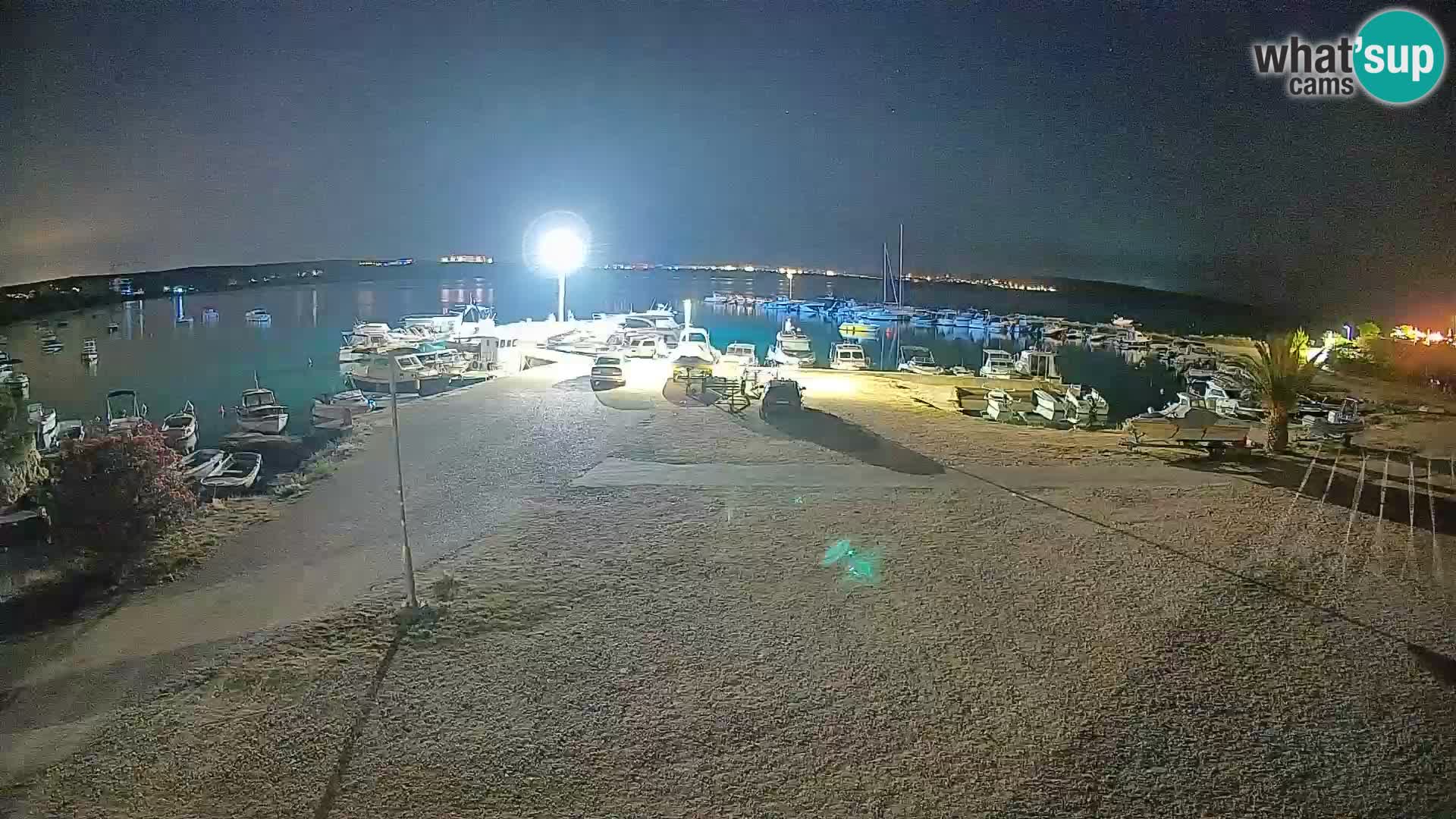 Camera en vivo Povljana – Pag isla