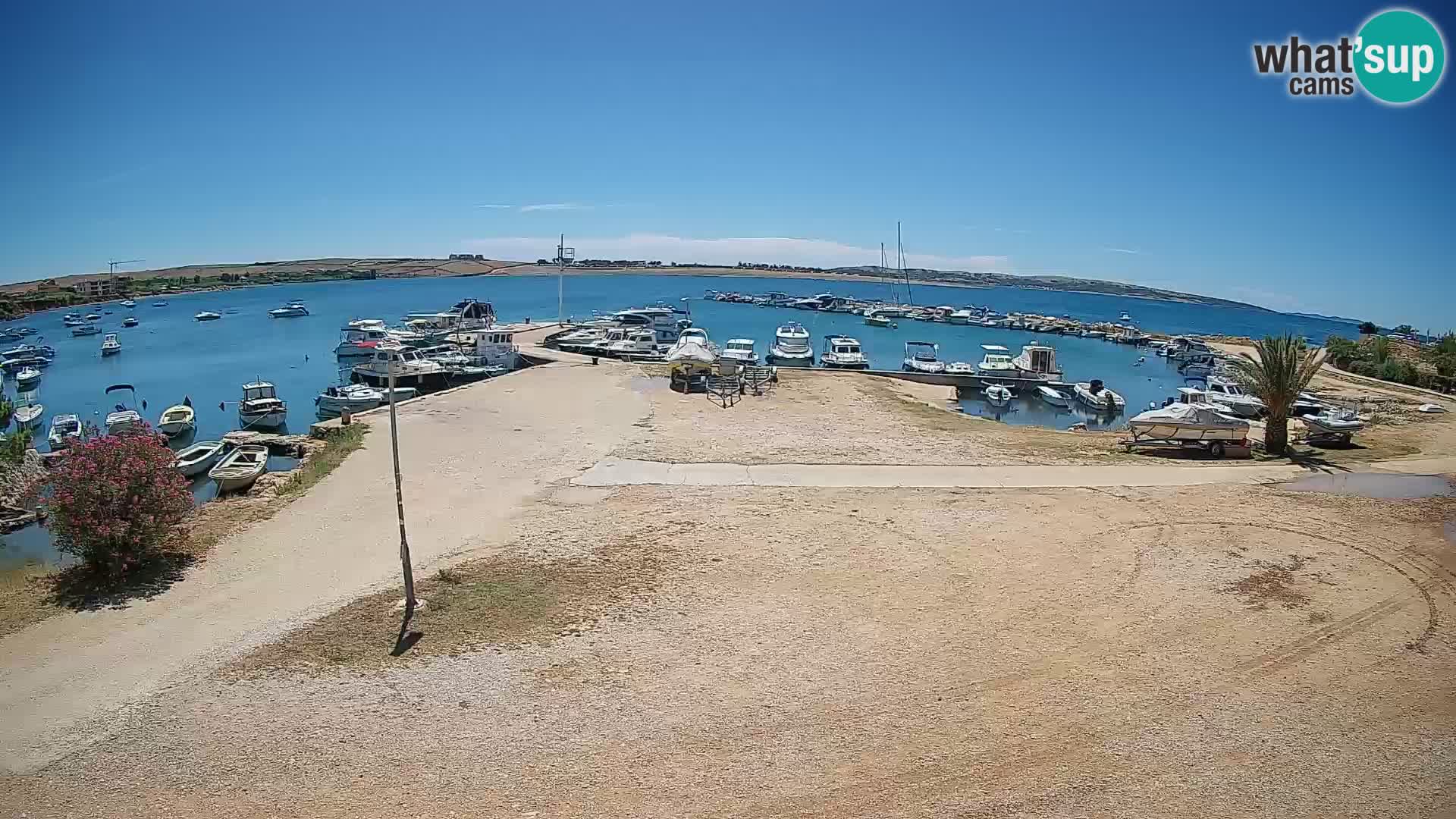Livecam Pogliana – isola di Pago