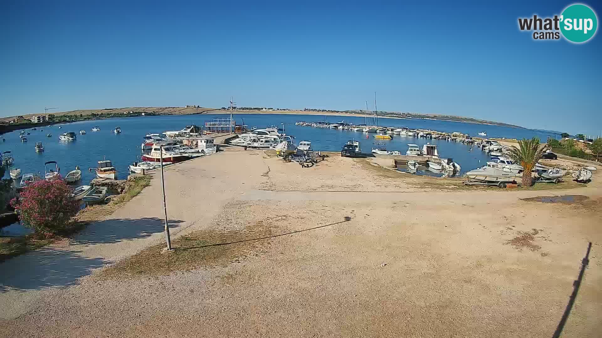 Camera en vivo Povljana – Pag isla