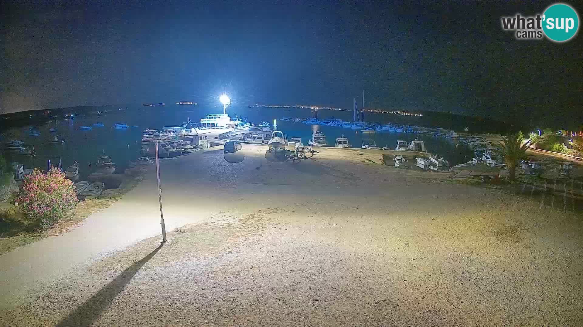 Webcam Povljana – Pag insel
