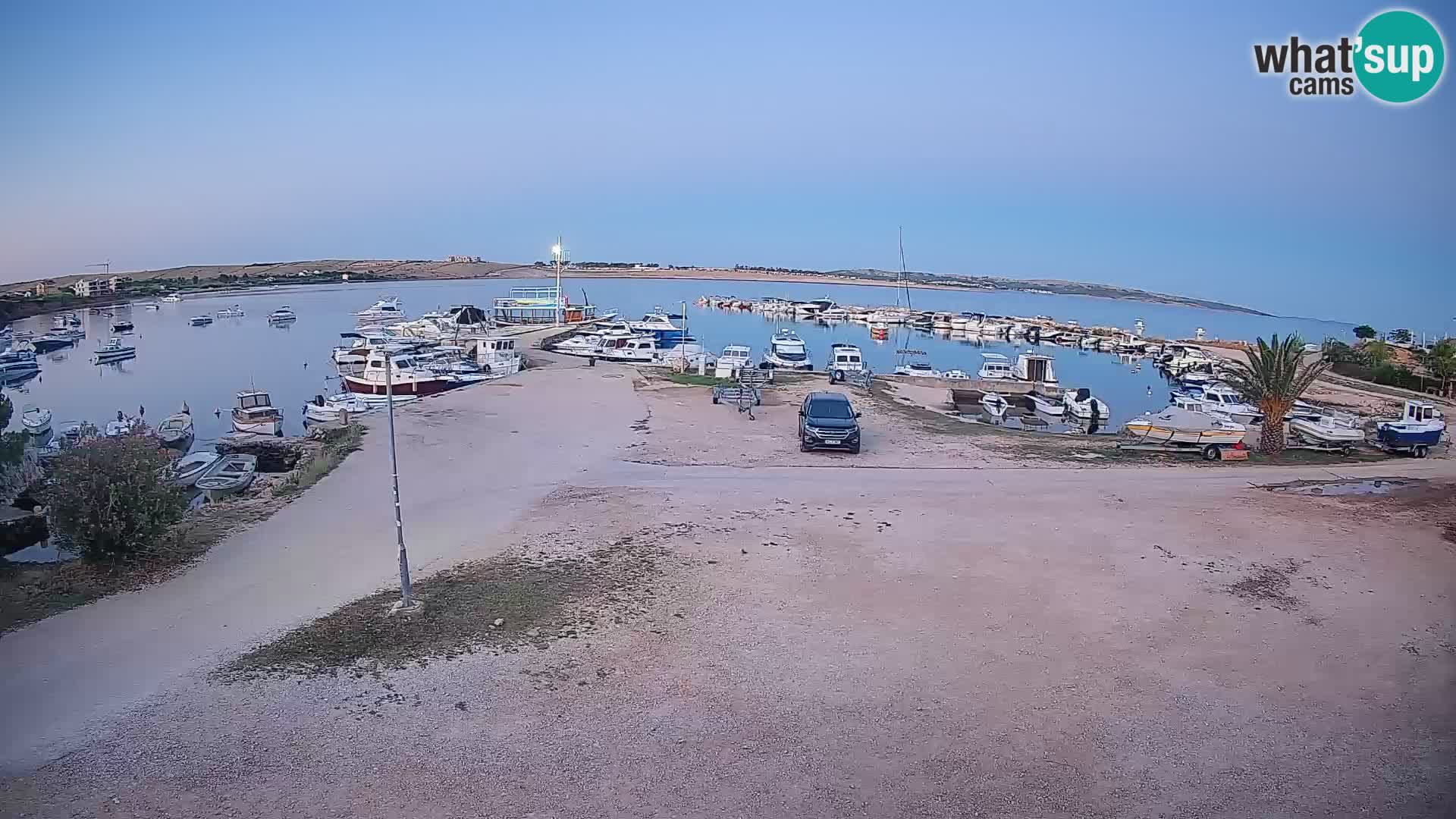 Camera en vivo Povljana – Pag isla