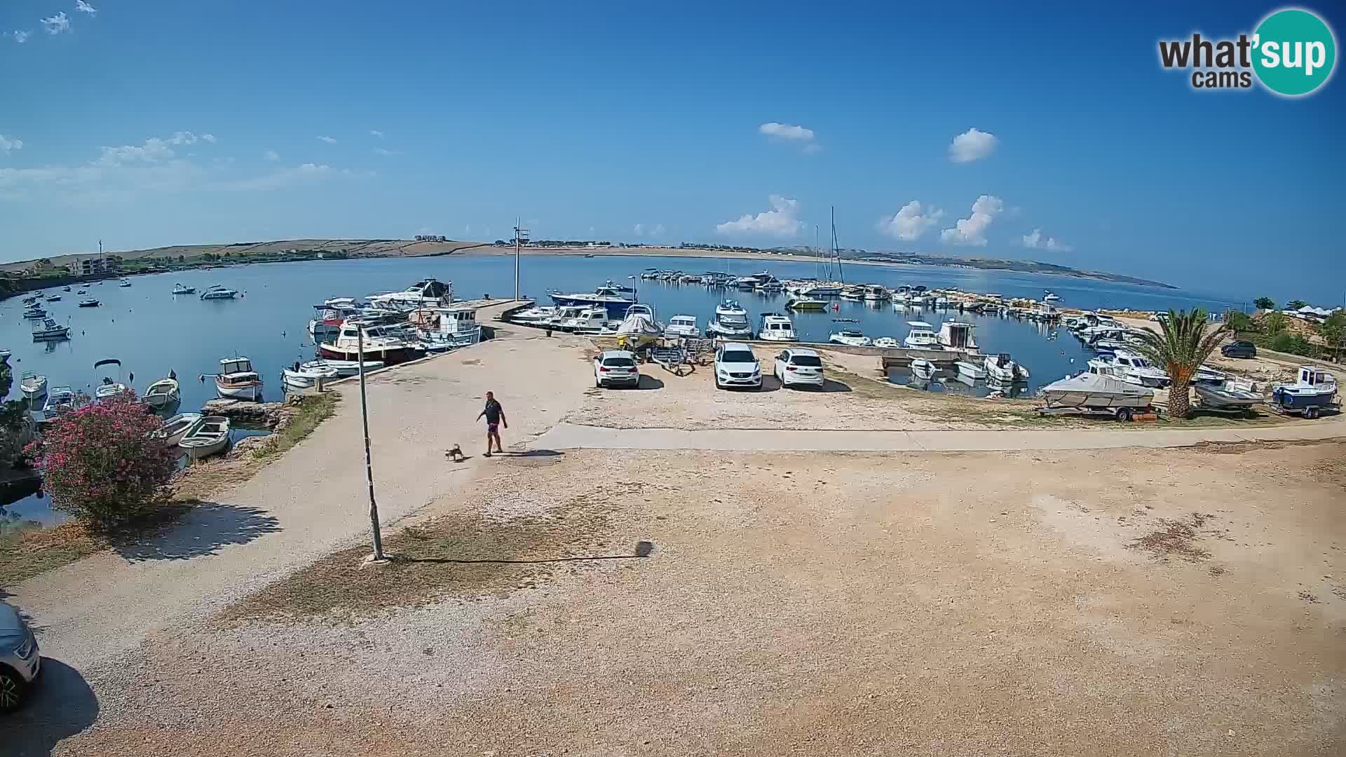 Livecam Pogliana – isola di Pago