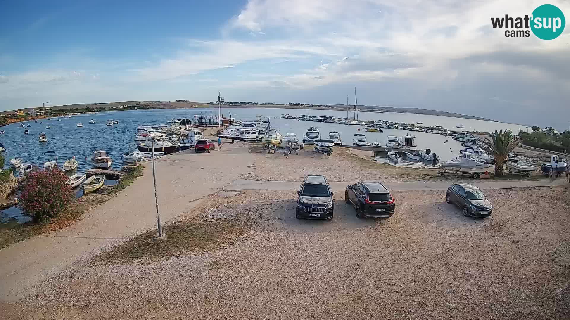 Camera en vivo Povljana – Pag isla