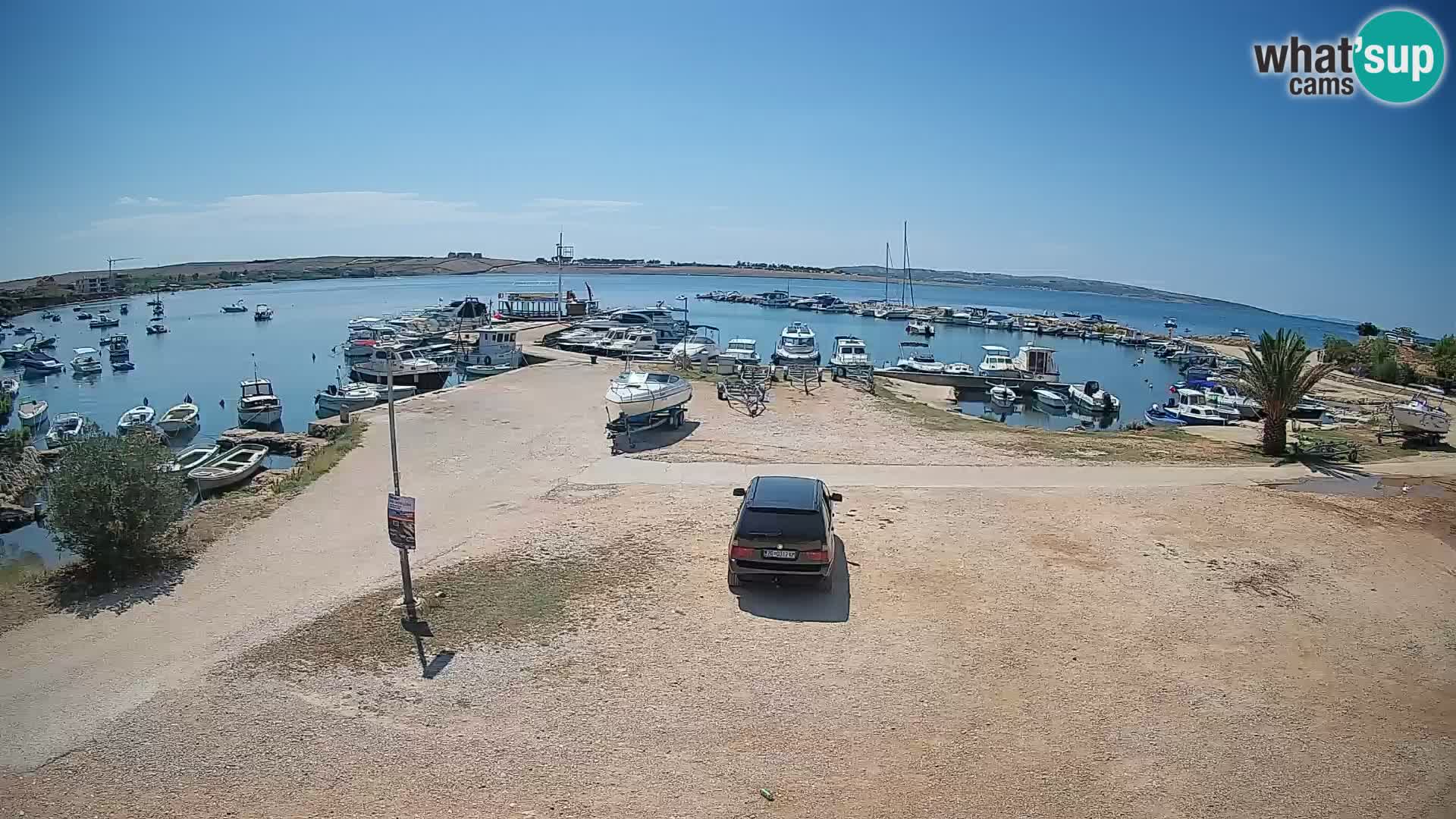 Camera en vivo Povljana – Pag isla