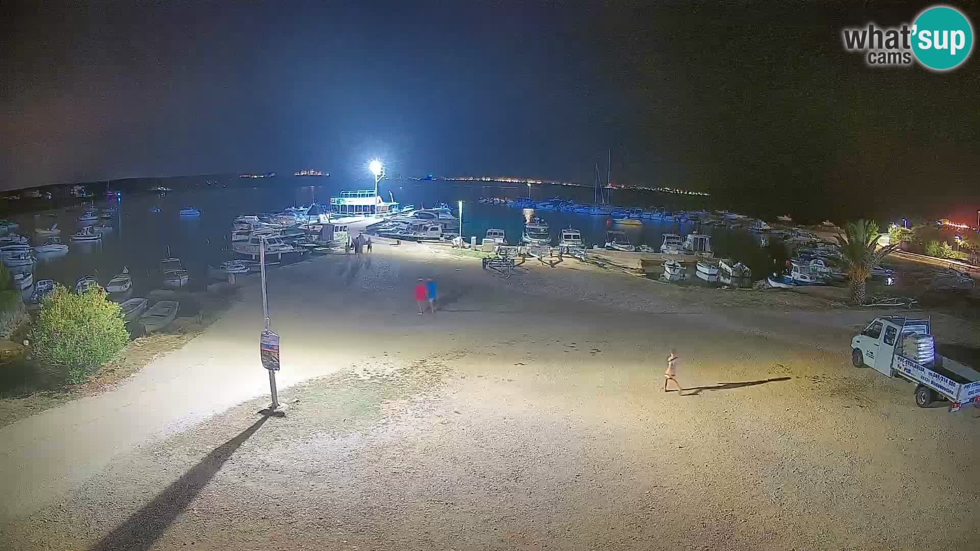 Camera en vivo Povljana – Pag isla