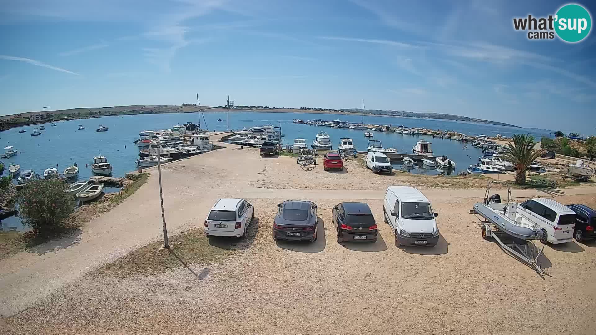 Camera en vivo Povljana – Pag isla