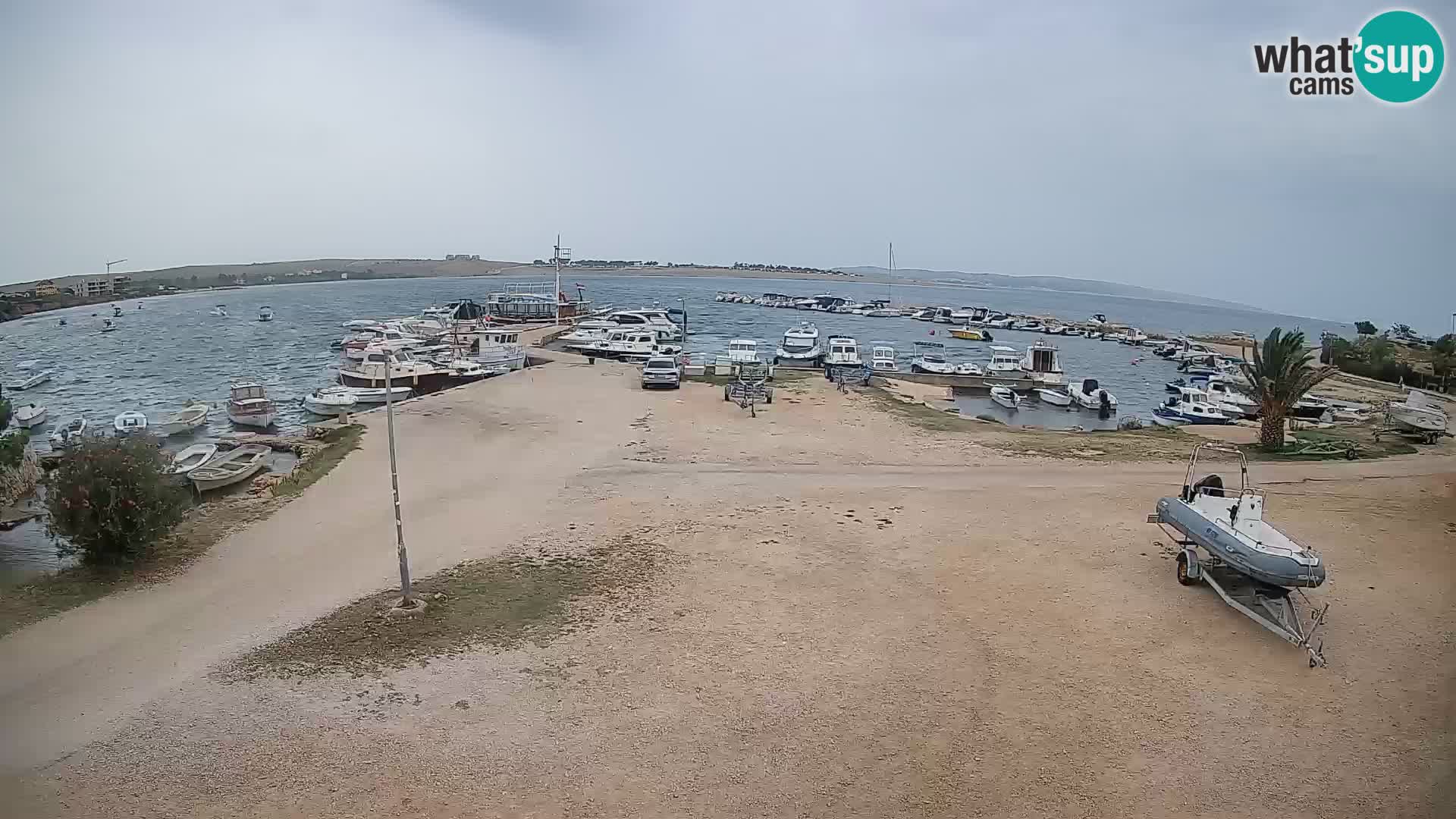 Camera en vivo Povljana – Pag isla